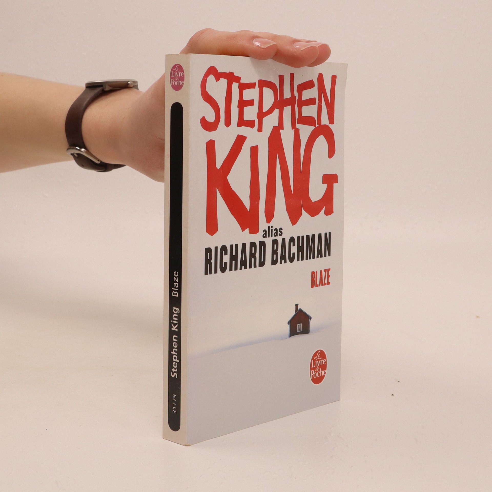 Blaze King, Stephen knihobot.cz