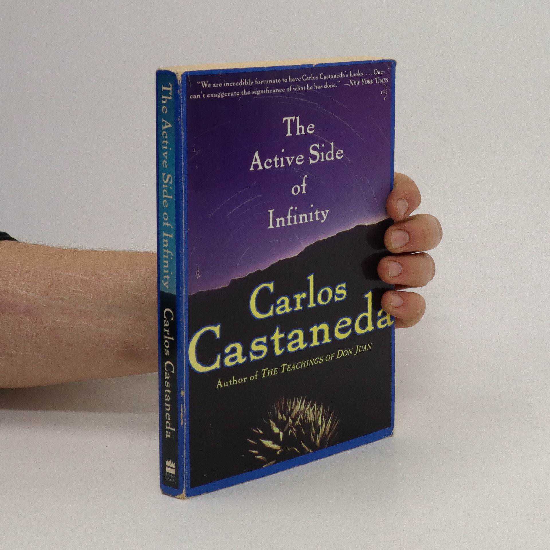 The Unseen Side Of Vale Castañeda: A Private Collection - 3nctrjy