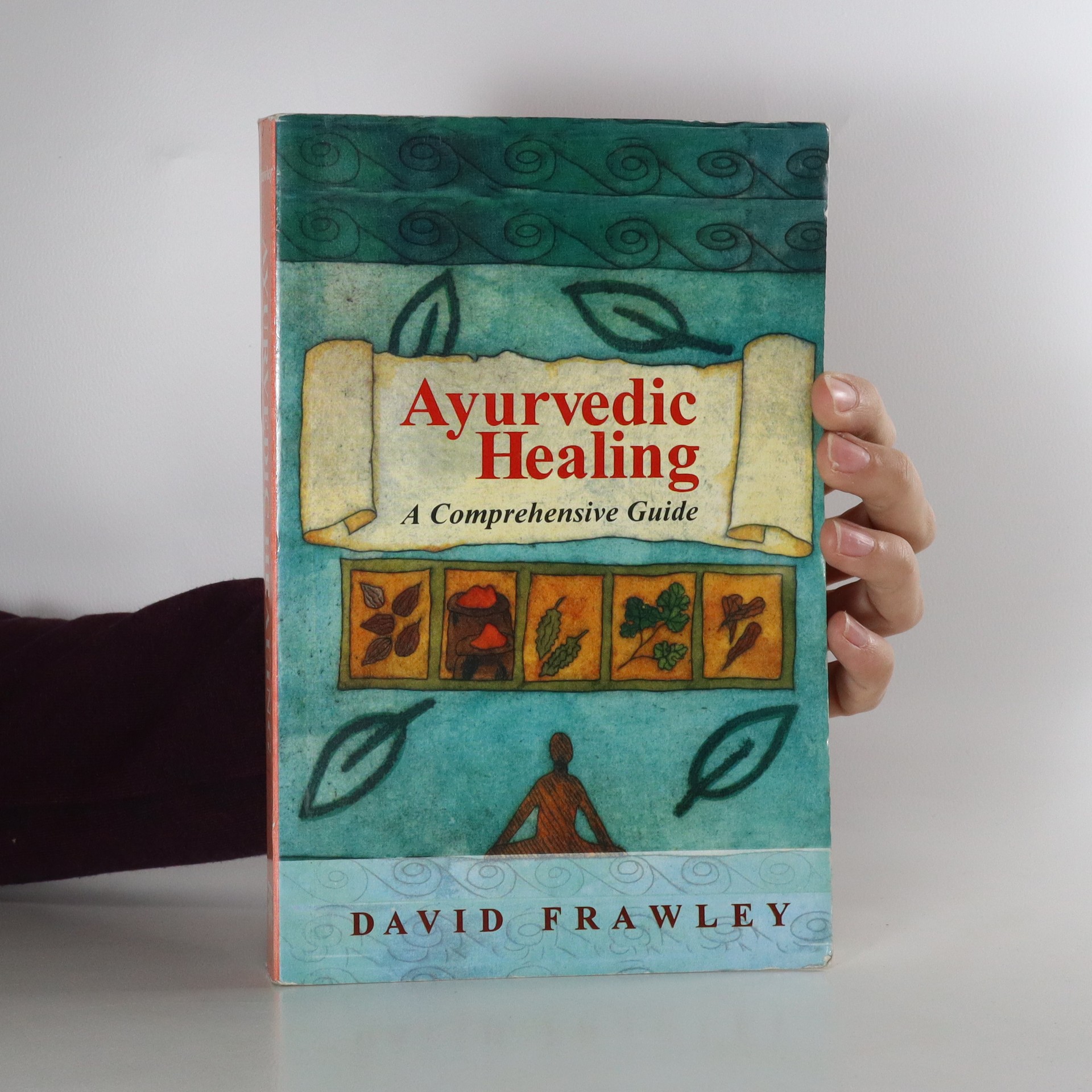 Ayurvedic Healing Frawley, David knihobot.cz