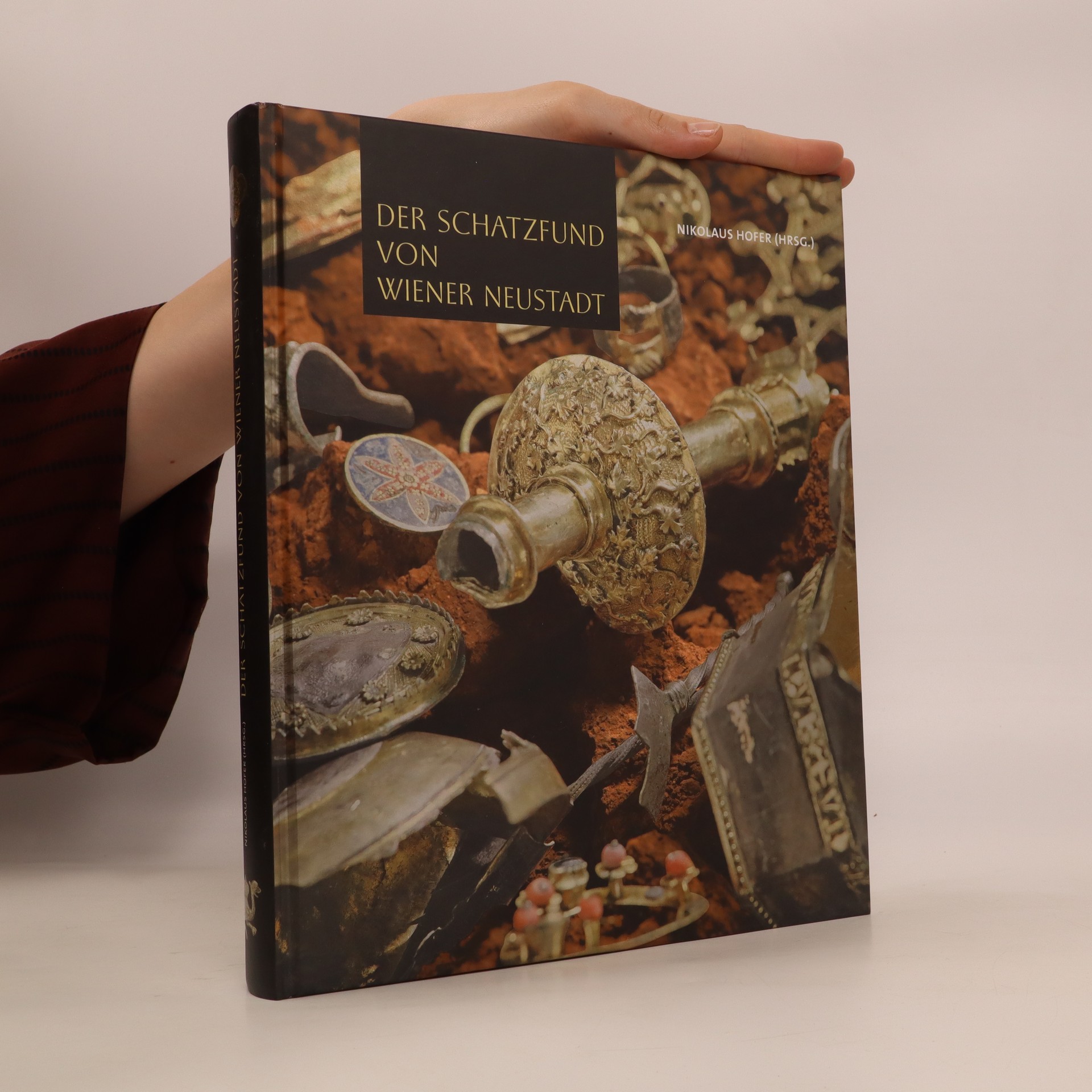 Der Schatzfund von Wiener Neustadt - Hofer, Nikolaus - knihobot.cz