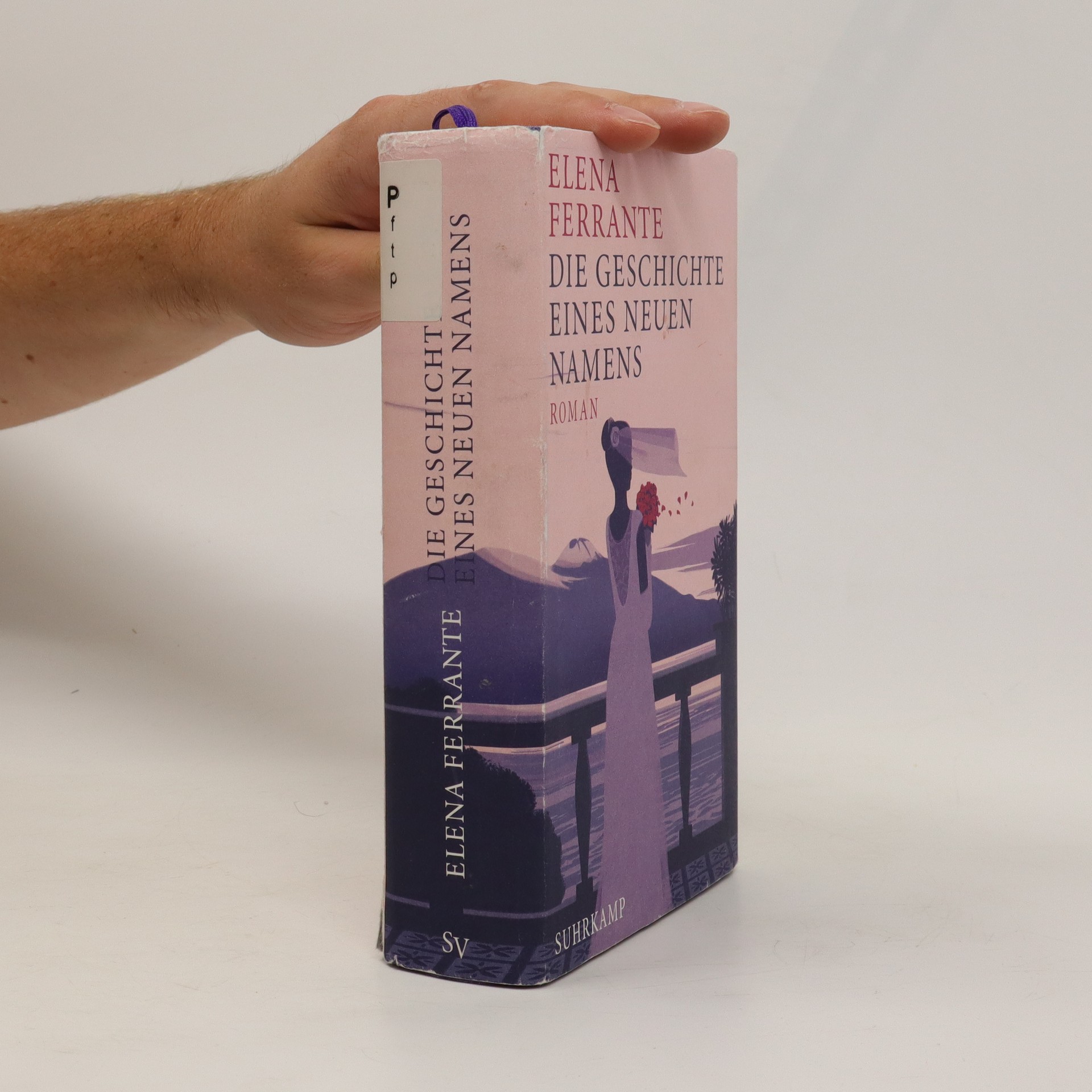 Die Geschichte Eines Neuen Namens Jugendjahre (Band II) Elena Ferrante knihobot.sk