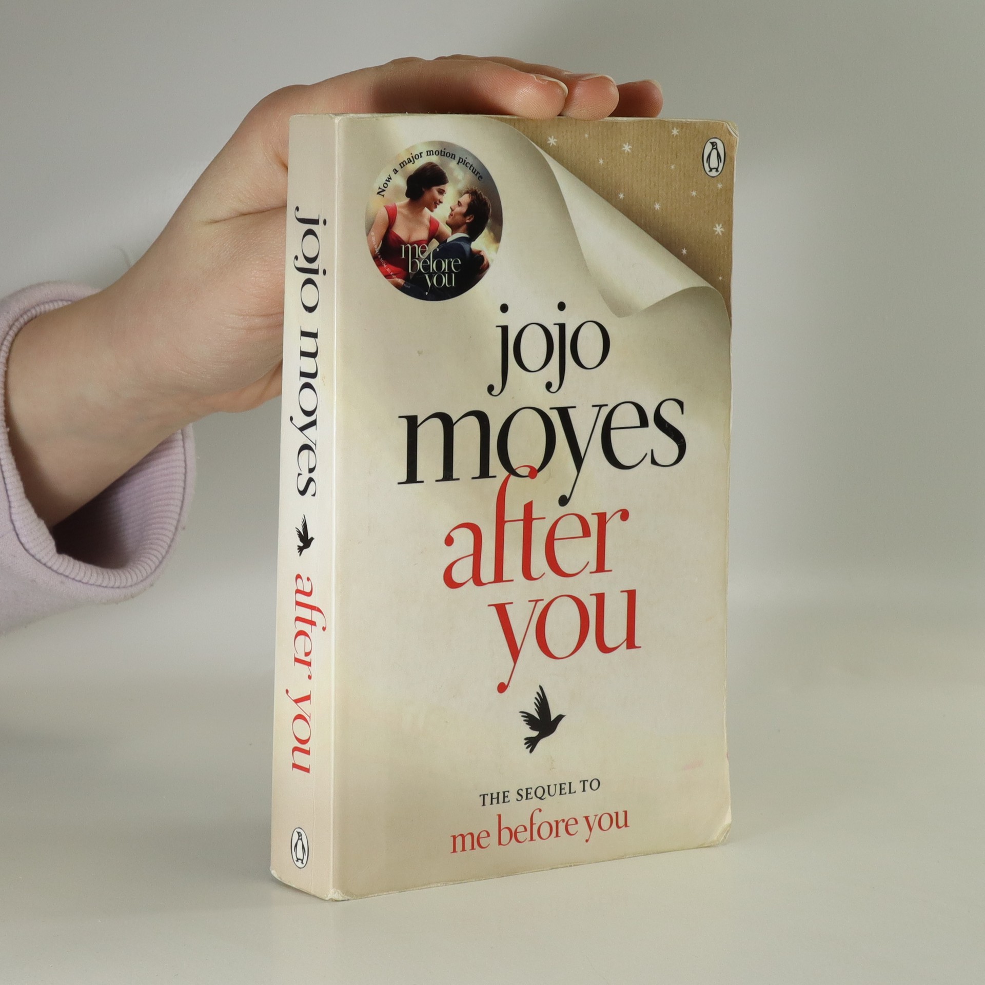 Kniha After You Antikvariat Knihobot