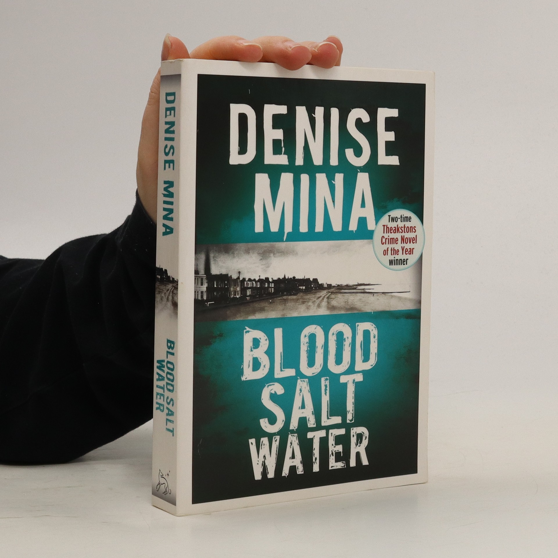 blood-salt-water-denise-mina-knihobot-cz