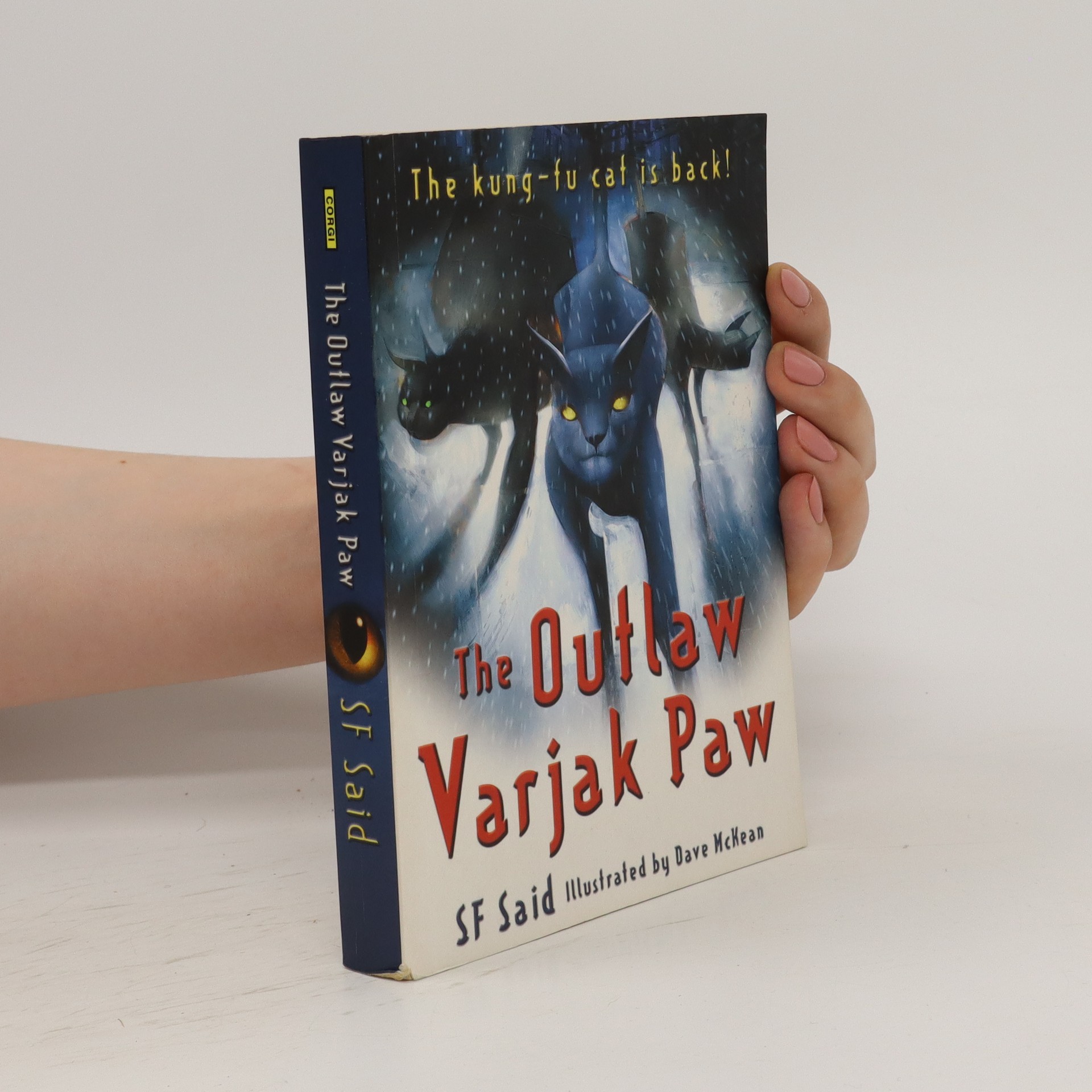 The Outlaw Varjak Paw Dave McKean knihobot.cz
