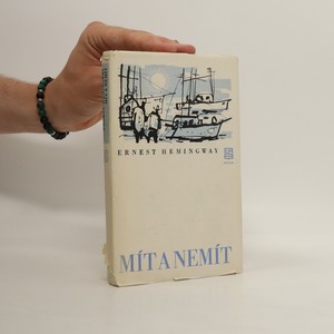 náhled knihy - Mít a nemít