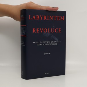 náhled knihy - Labyrintem revoluce. Aktéři, zápletky a křižovatky jedné politické krize (od listopadu 1989 do června 1990)