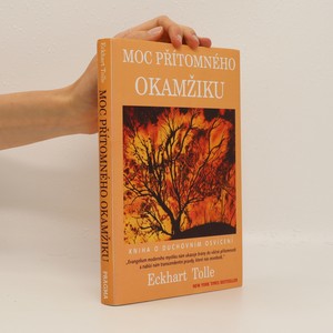 náhled knihy - Moc přítomného okamžiku : kniha o duchovním osvícení
