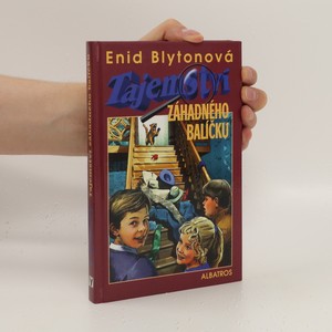 náhled knihy - Tajemství záhadného balíčku