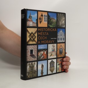 náhled knihy - Historická města Čech a Moravy