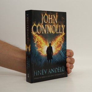 náhled knihy - Hněv andělů