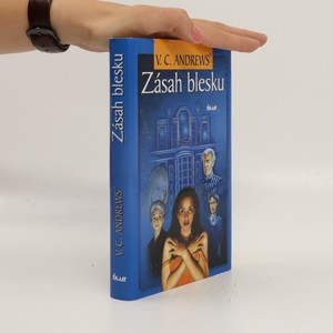 náhled knihy - Zásah blesku