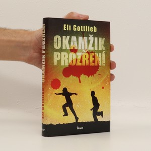náhled knihy - Okamžik prozření