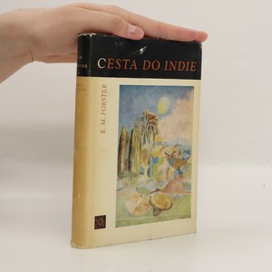 náhled knihy - Cesta do Indie