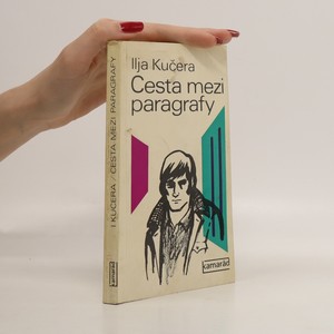 náhled knihy - Cesta mezi paragrafy