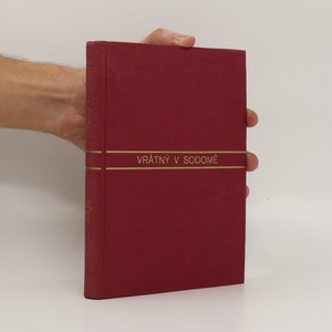 náhled knihy - Vrátný v Sodomě