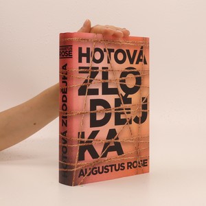 náhled knihy - Hotová zlodějka