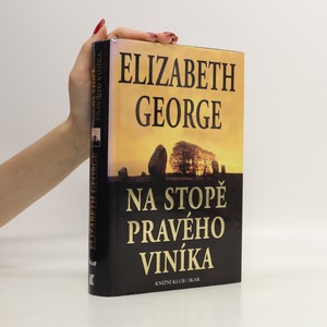 náhled knihy - Na stopě pravého viníka