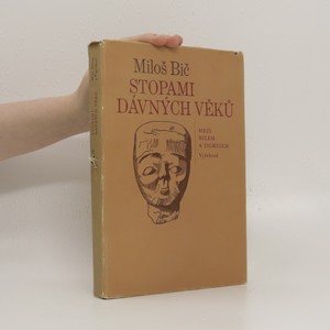 náhled knihy - Stopami dávných věků : mezi Nilem a Tigridem