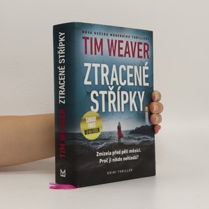 náhled knihy - Ztracené střípky
