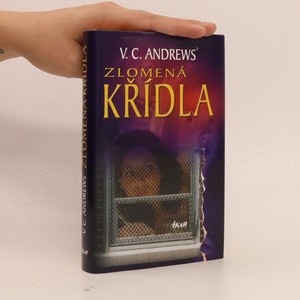 náhled knihy - Zlomená křídla