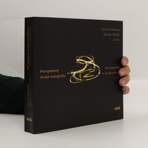 náhled knihy - Perspektivy české energetiky. Současnost a budoucnost