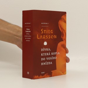 náhled knihy - Dívka, která kopla do vosího hnízda : Milénium 3