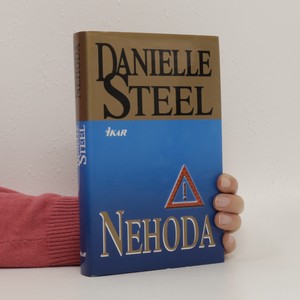 náhled knihy - Nehoda