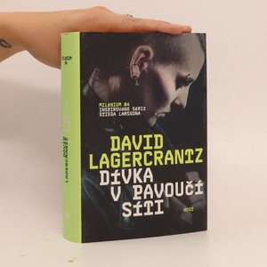 náhled knihy - Dívka v pavoučí síti