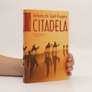 náhled knihy - Citadela