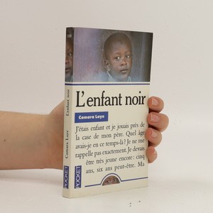 náhled knihy - L'enfant noir : roman