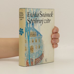 náhled knihy - Stříbrný vítr