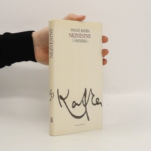 náhled knihy - Nezvěstný : Amerika