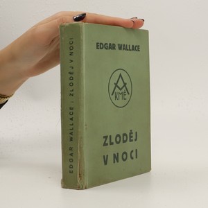 náhled knihy - Zloděj v noci