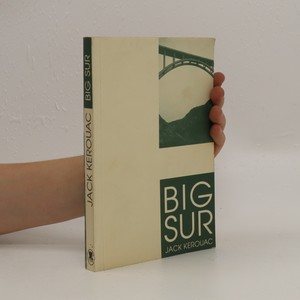 náhled knihy - Big Sur