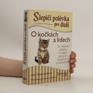 náhled knihy - Slepičí polévka pro duši