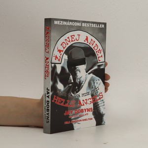 náhled knihy - Žádnej anděl. Moje tajná mise mezi Hells Angels