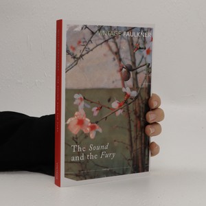 náhled knihy - The sound and the fury