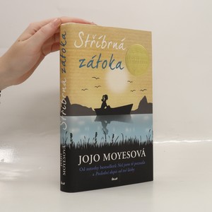 náhled knihy - Stříbrná zátoka