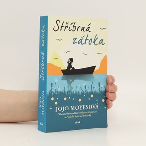 náhled knihy - Stříbrná zátoka