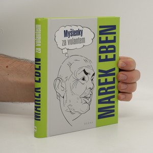 náhled knihy - Myšlenky za volantem
