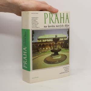 náhled knihy - Praha na úsvitu nových dějin
