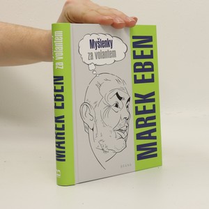 náhled knihy - Myšlenky za volantem