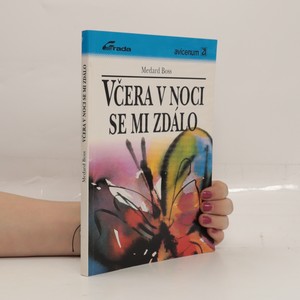 náhled knihy - Včera v noci se mi zdálo