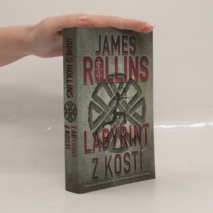 náhled knihy - Labyrint z kostí