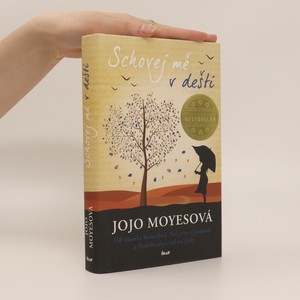 náhled knihy - Schovej mě v dešti
