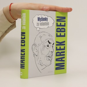 náhled knihy - Myšlenky za volantem