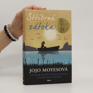 náhled knihy - Stříbrná zátoka