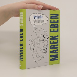 náhled knihy - Myšlenky za volantem