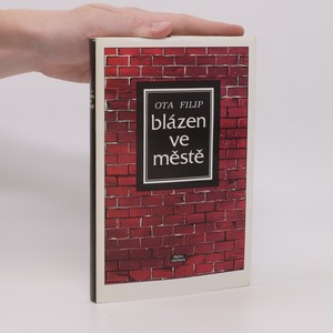 náhled knihy - Blázen ve městě
