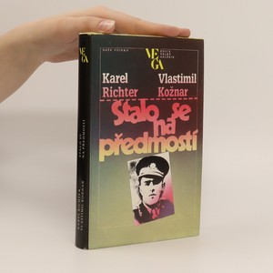 náhled knihy - Stalo se na předmostí